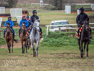 NH060322-91 - Nicky Henderson Stable Visit